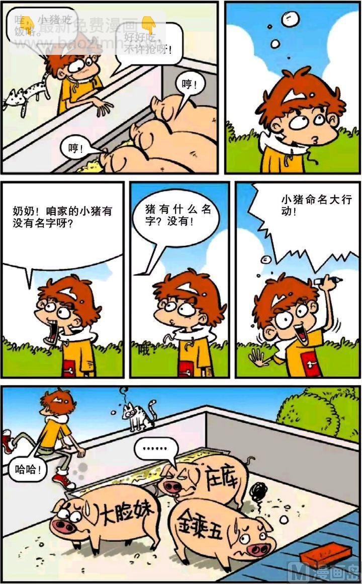 第12卷(一)