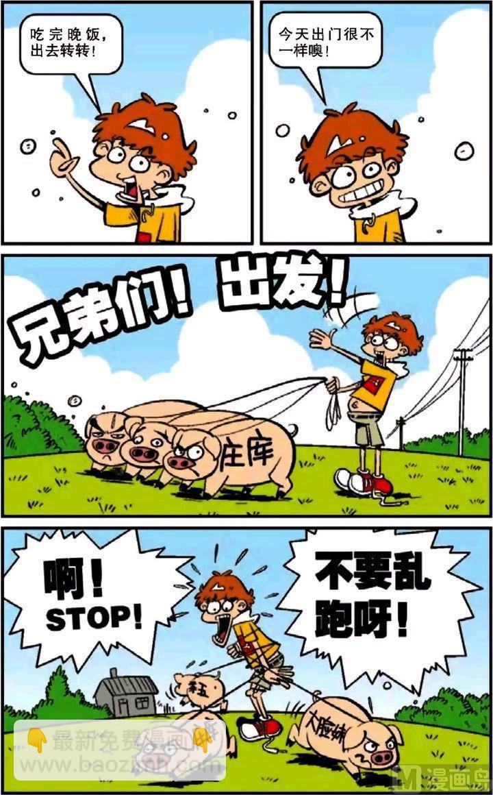 第12卷(一)