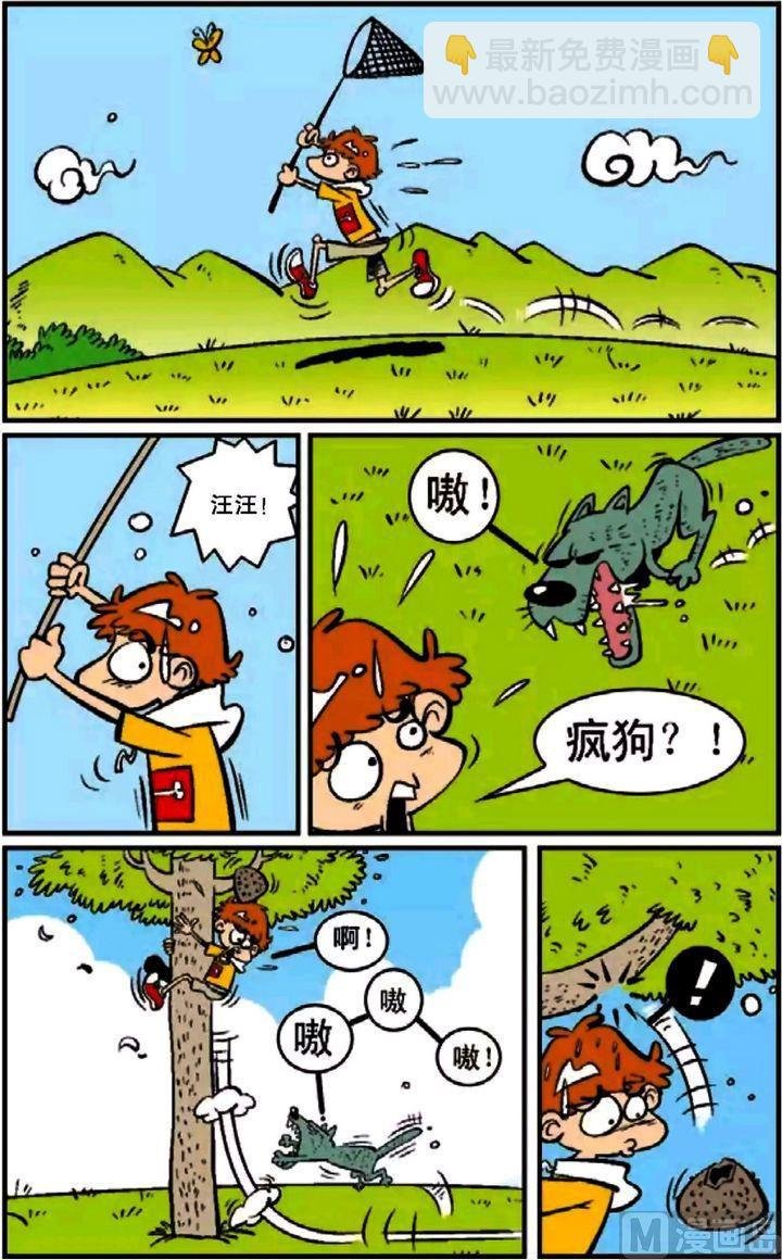 第12卷(一)