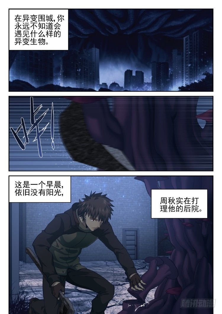 看我真诚的眼神