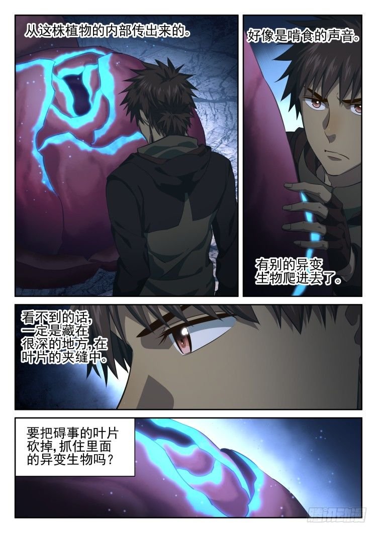 看我真诚的眼神