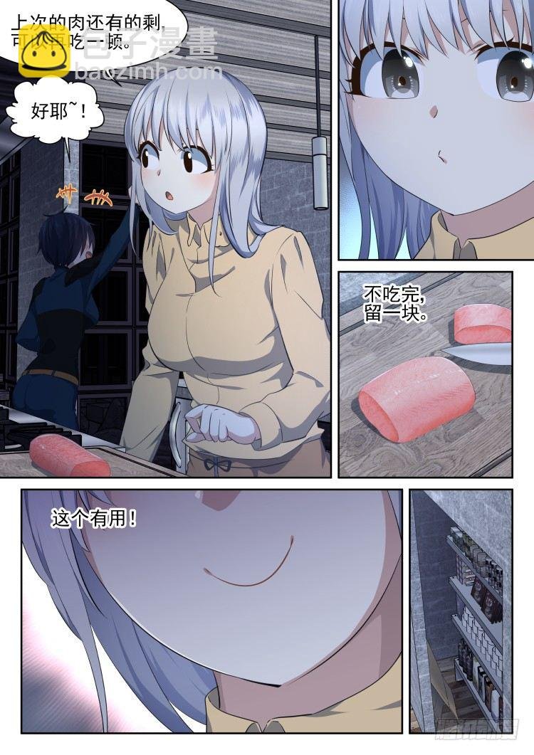 有关猫的秘密计划