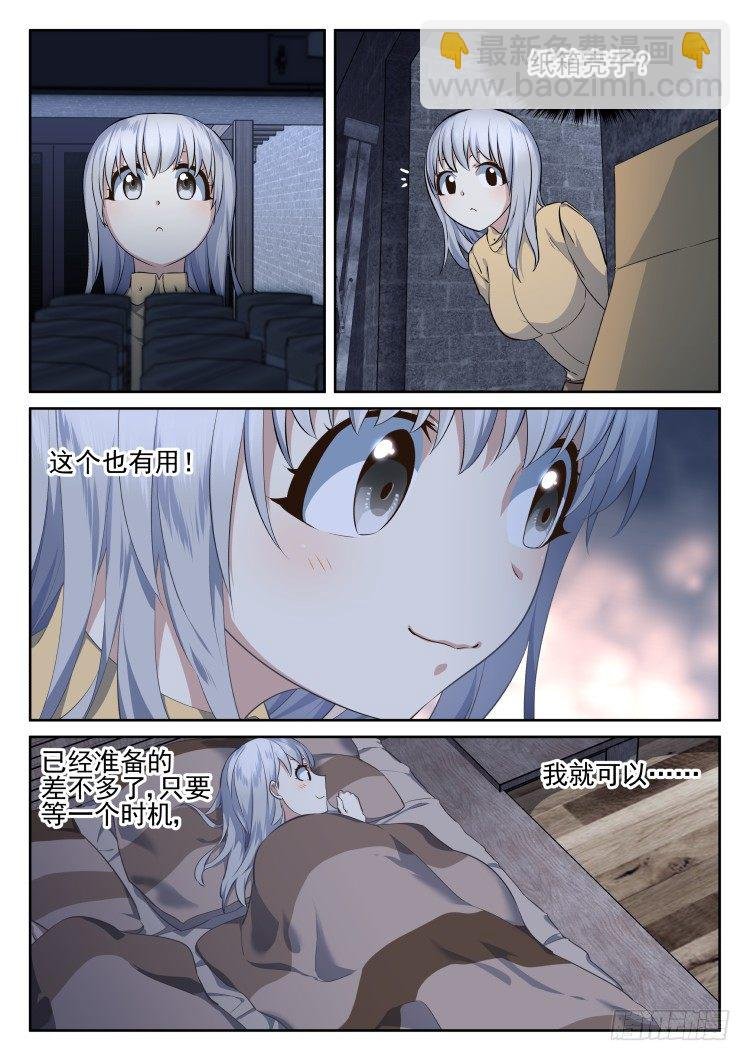 有关猫的秘密计划