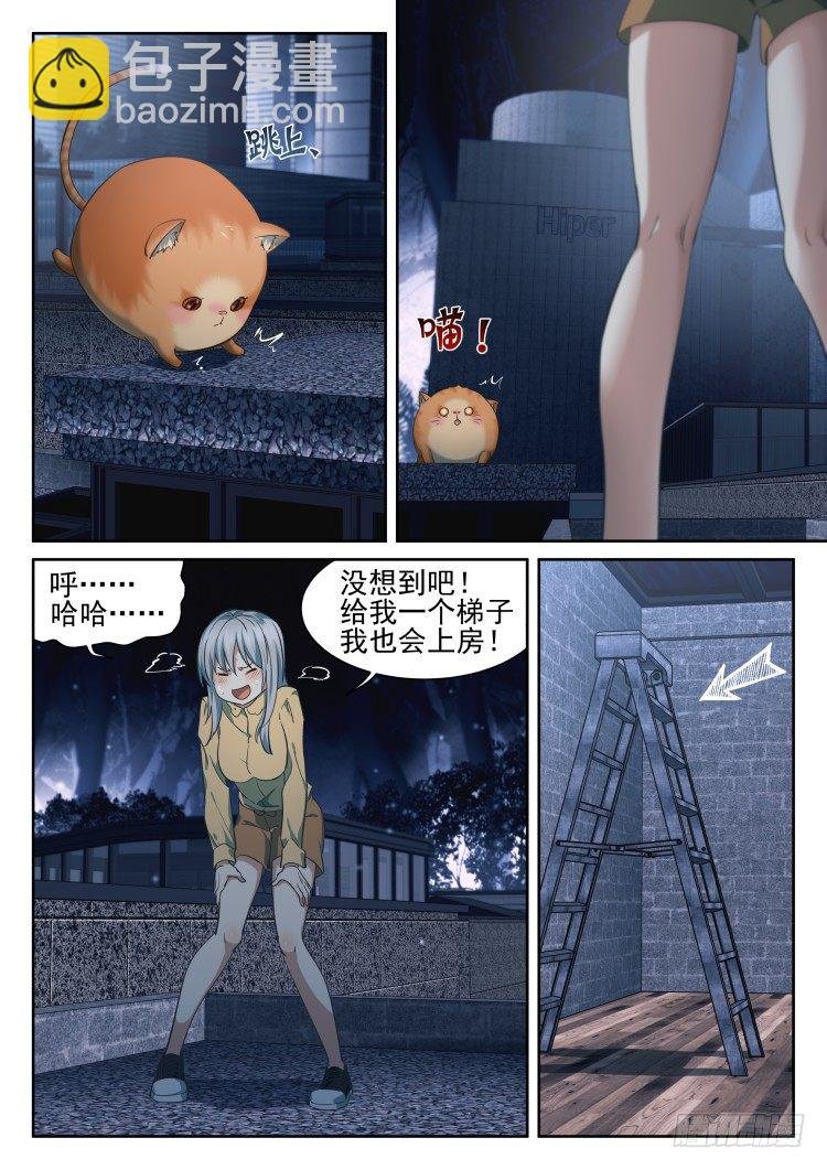 有关猫的秘密计划