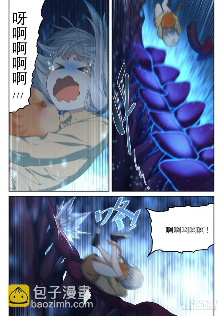 有关猫的秘密计划
