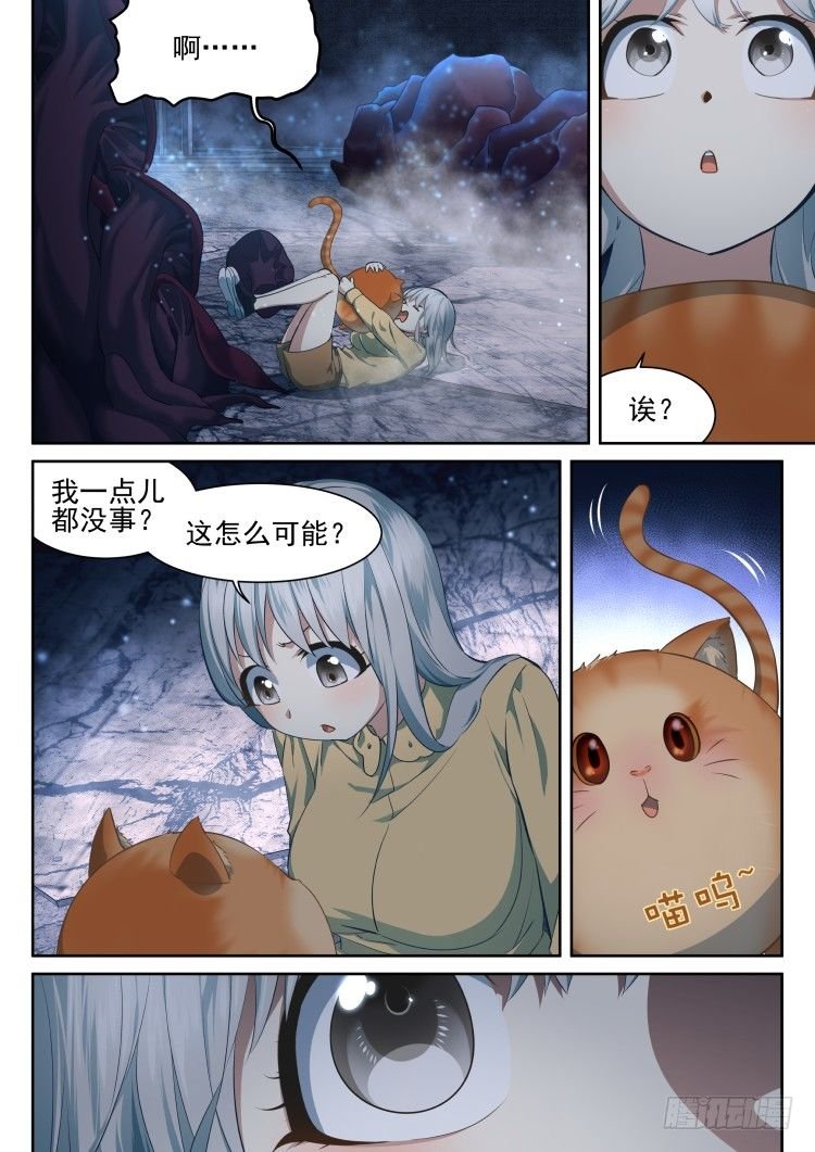 有关猫的秘密计划
