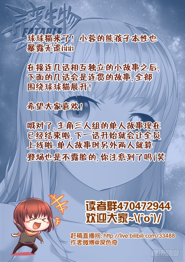 有关猫的秘密计划