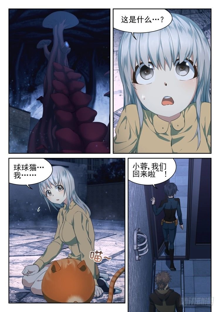 猫不喜欢周秋实