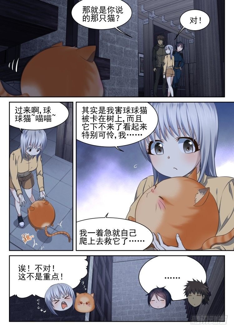 猫不喜欢周秋实