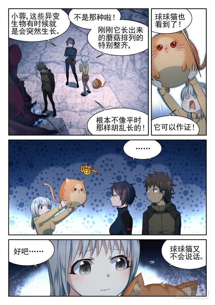 猫不喜欢周秋实