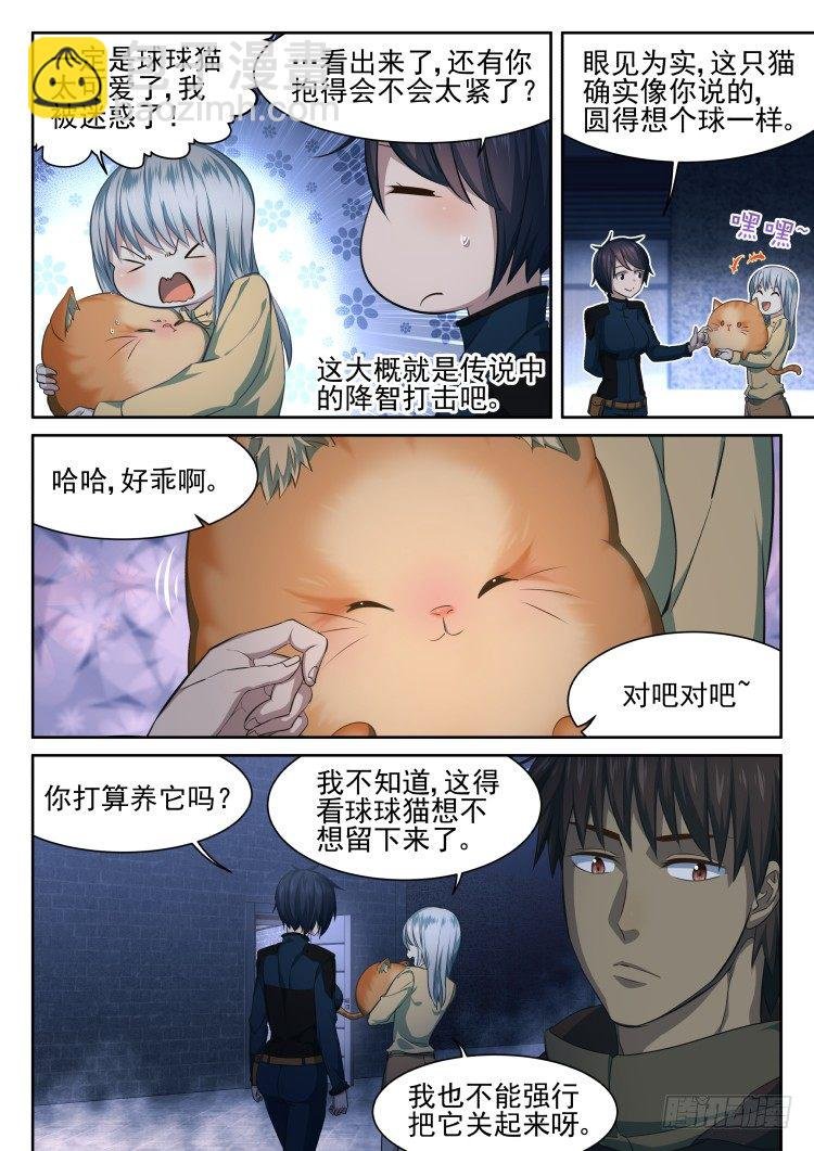 猫不喜欢周秋实