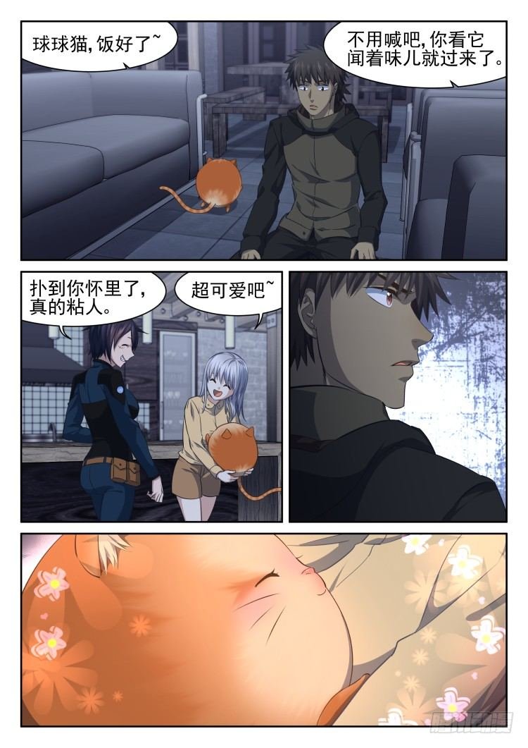 猫不喜欢周秋实