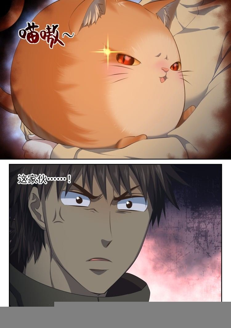 猫不喜欢周秋实