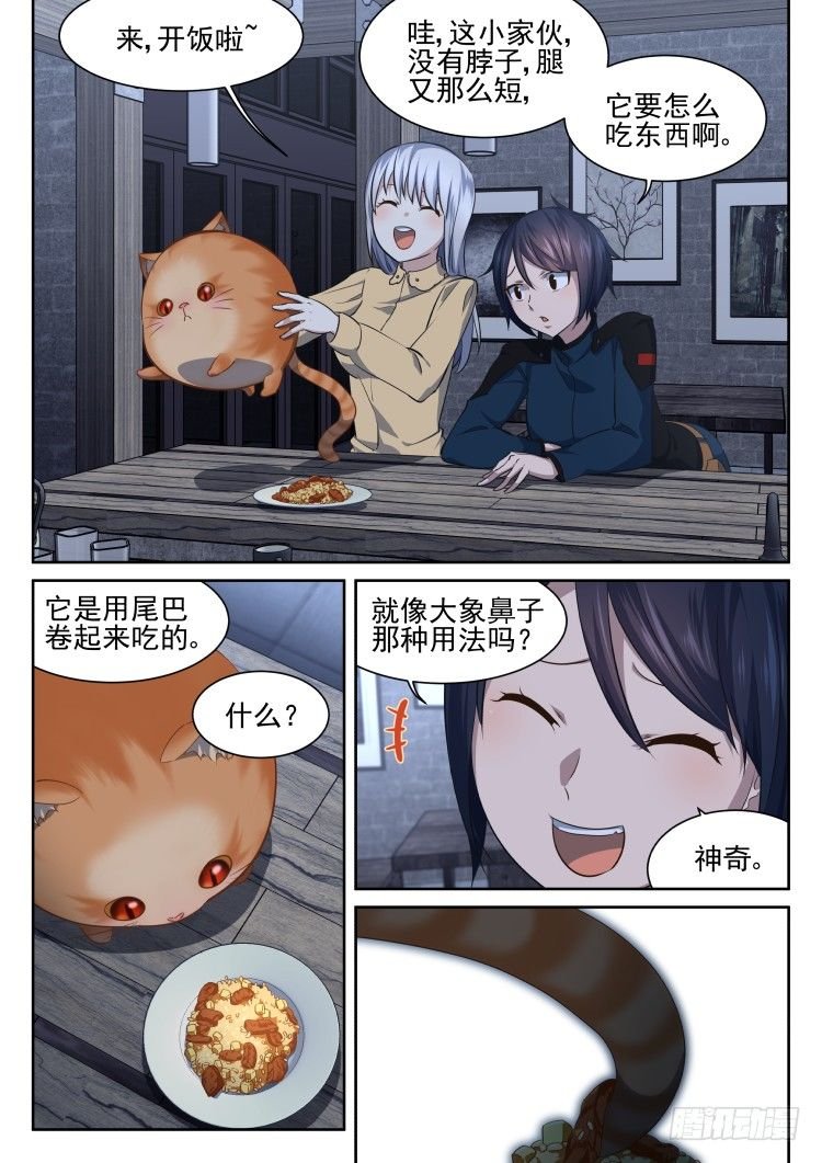 热情过度的铲屎官