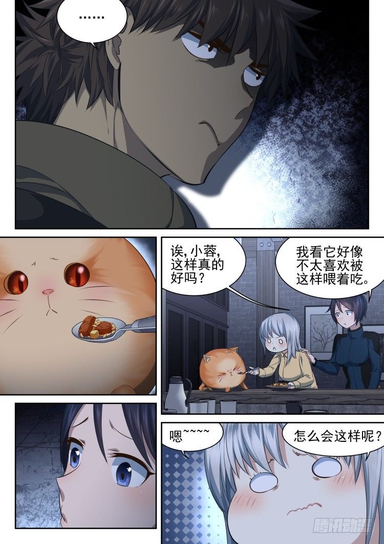 热情过度的铲屎官
