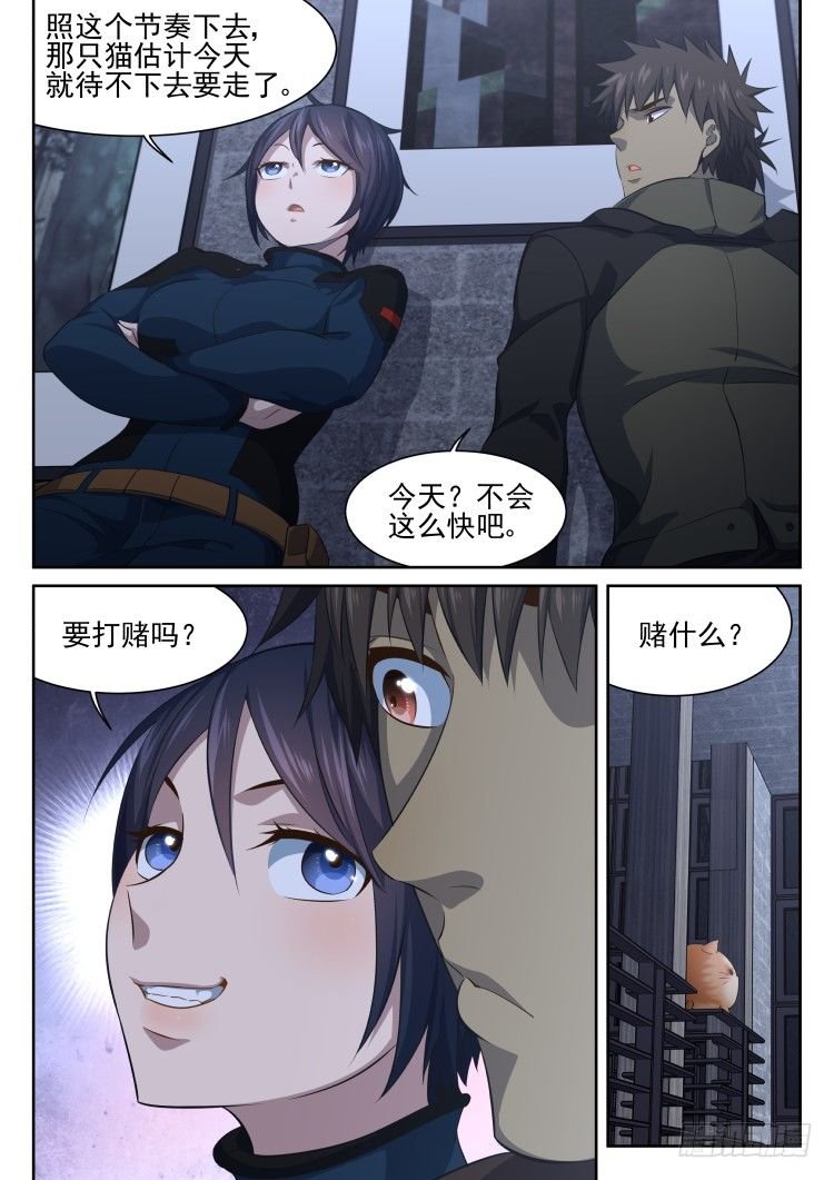 热情过度的铲屎官