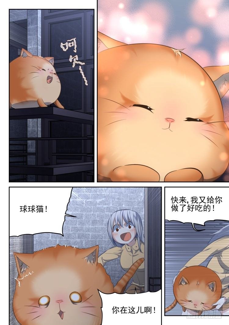 热情过度的铲屎官