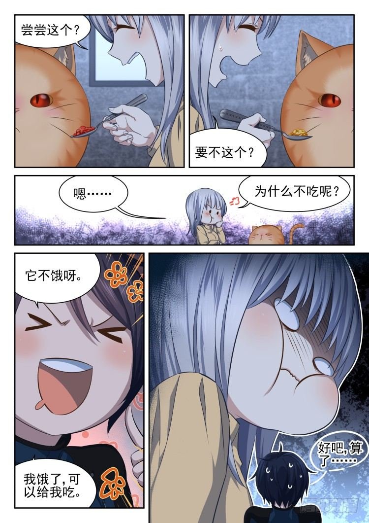 热情过度的铲屎官
