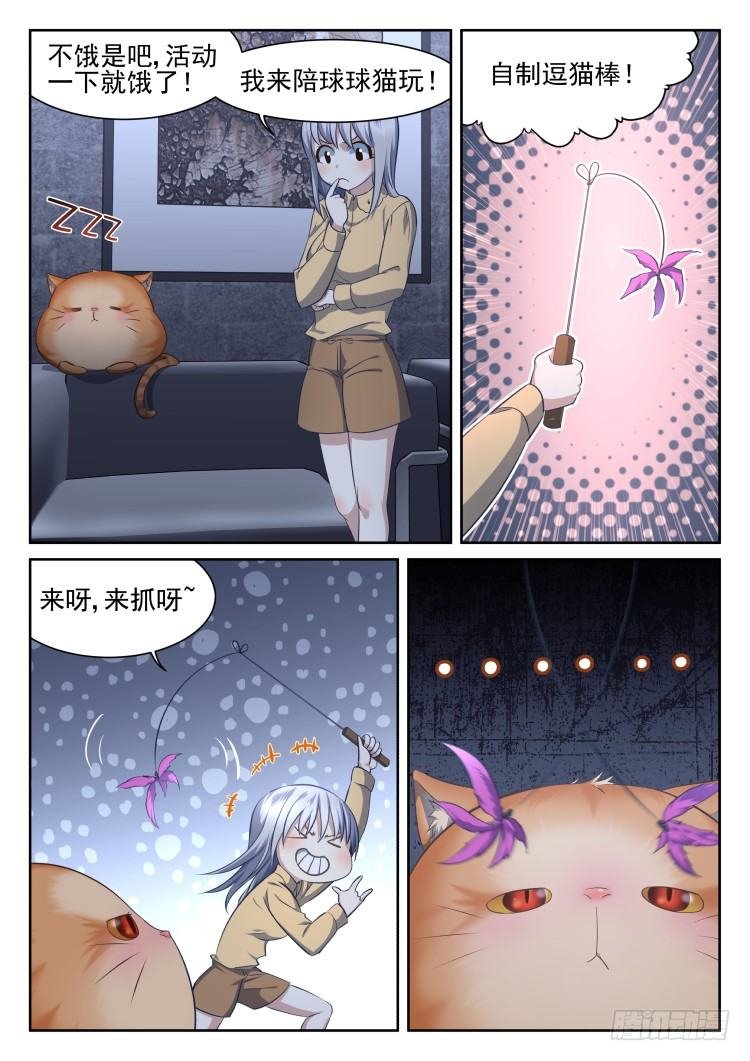热情过度的铲屎官