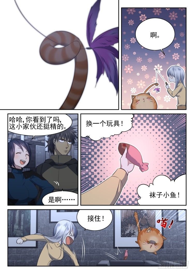热情过度的铲屎官