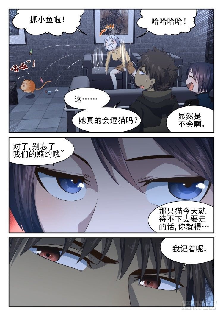 热情过度的铲屎官