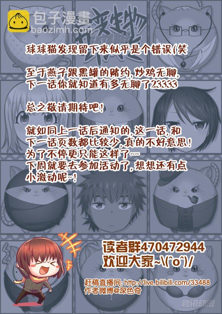 热情过度的铲屎官