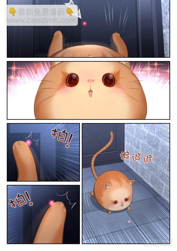 稳赢的赌约
