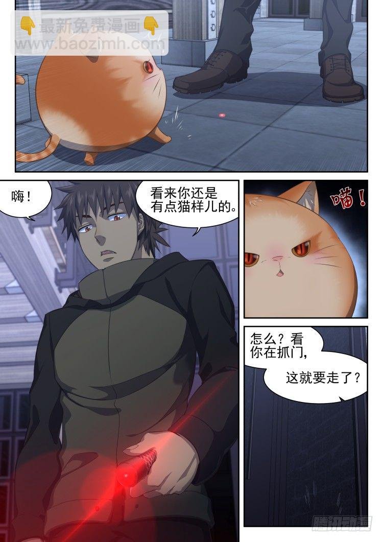 稳赢的赌约