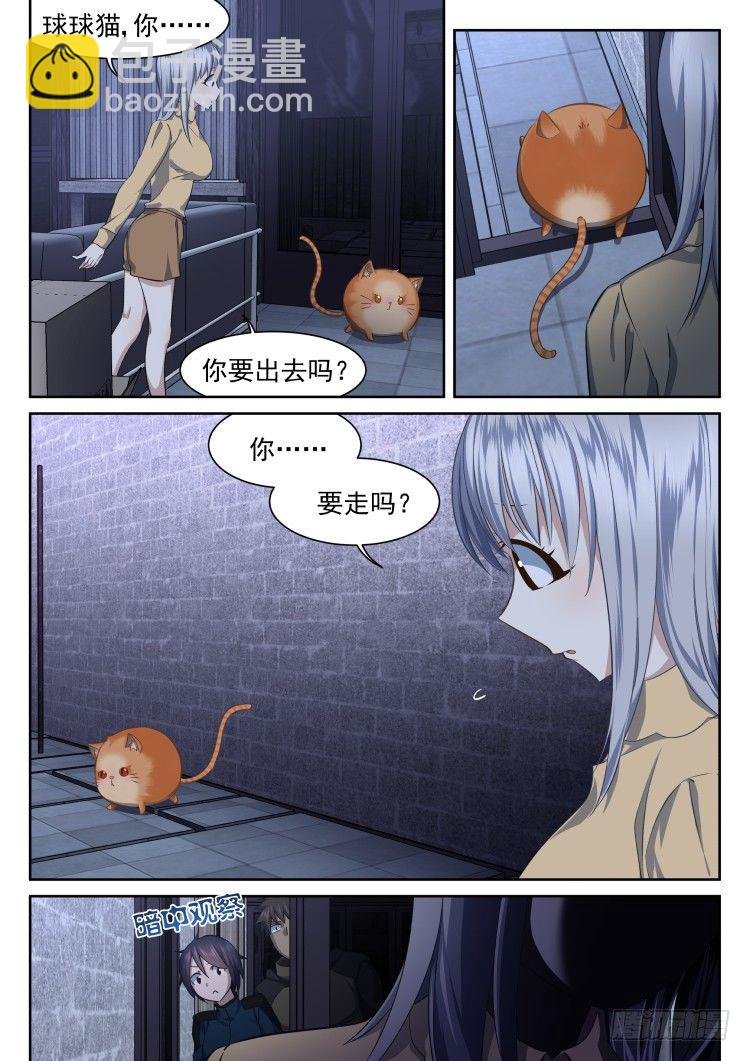 稳赢的赌约