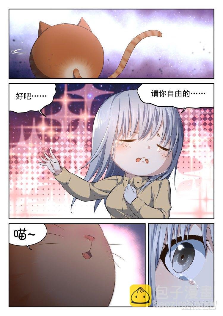 稳赢的赌约