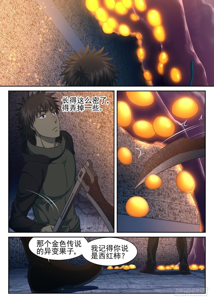 西红柿狂欢