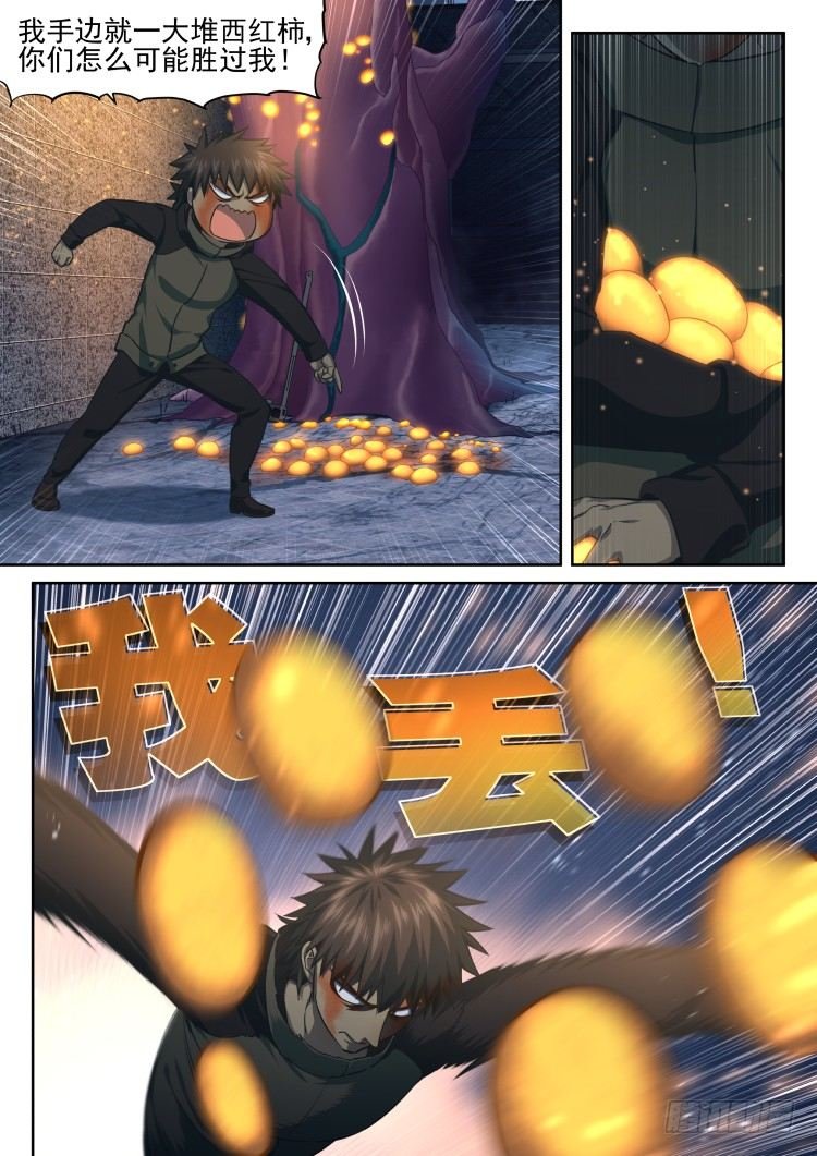 西红柿狂欢
