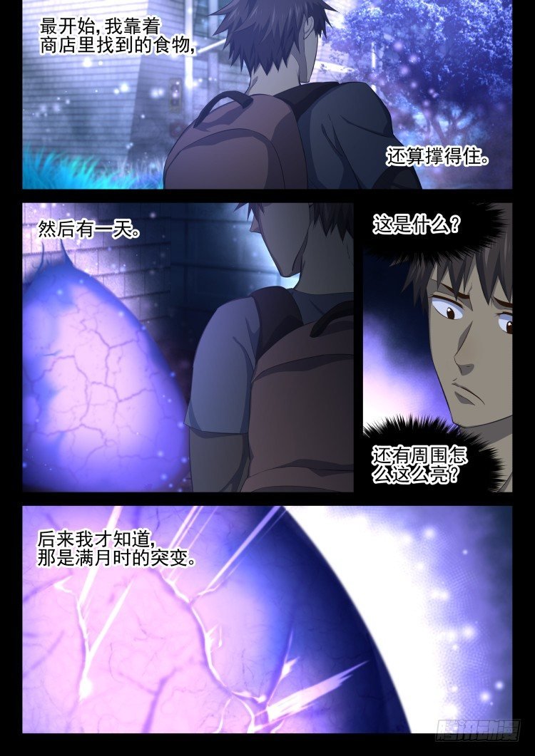 庇护所的设计者