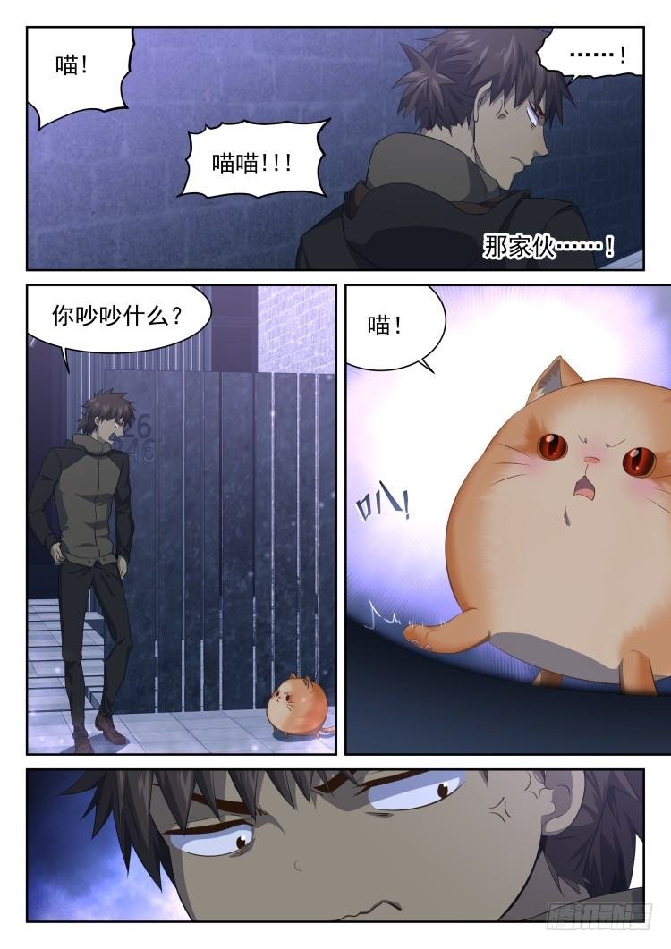 猫喜欢周秋实？