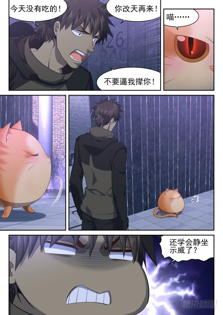 猫喜欢周秋实？