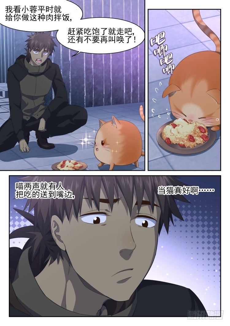 猫喜欢周秋实？