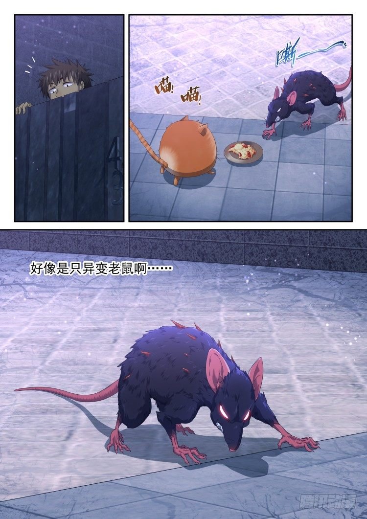 猫喜欢周秋实？