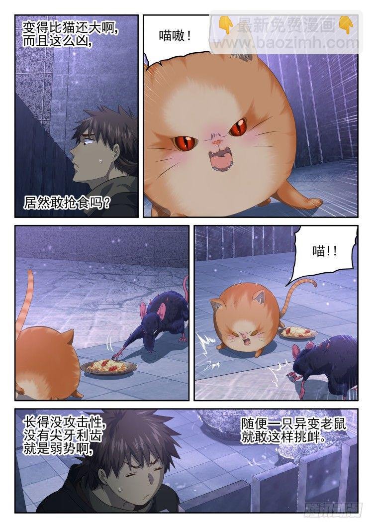 猫喜欢周秋实？
