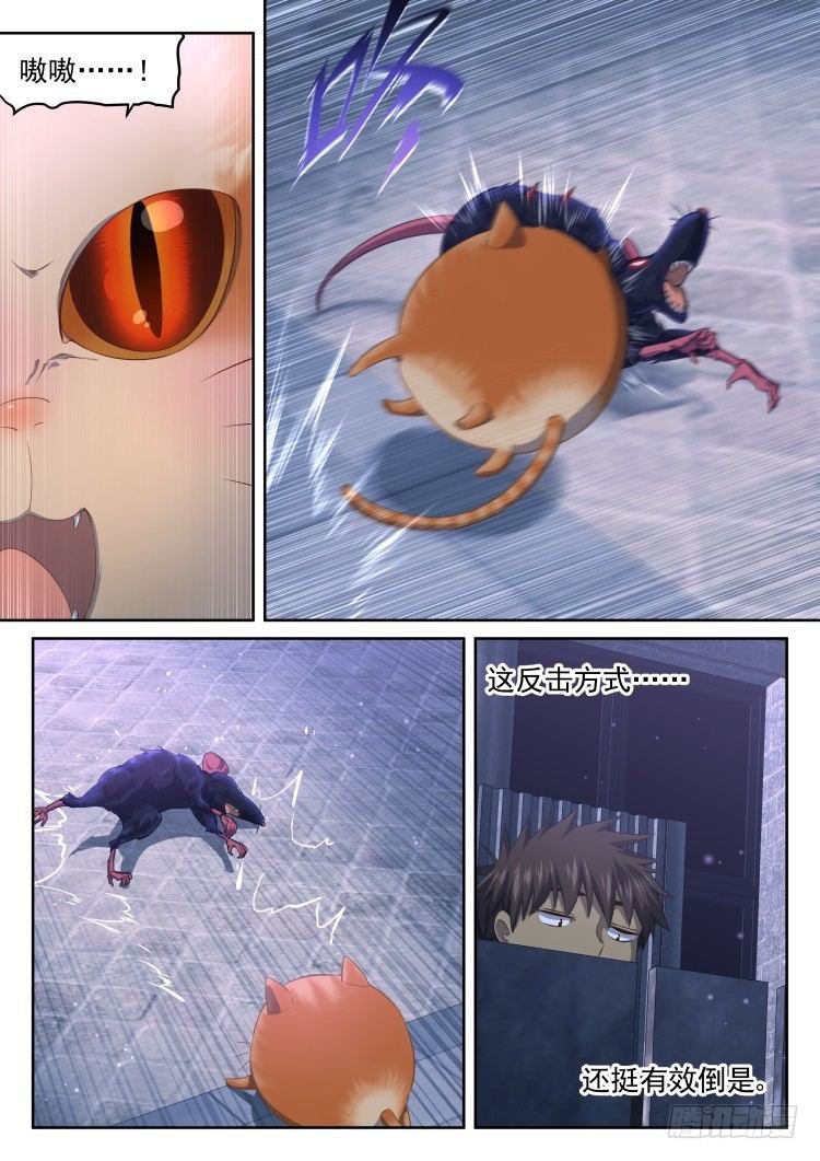 猫喜欢周秋实？