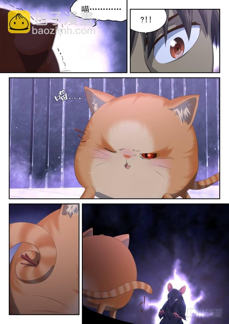 猫喜欢周秋实？