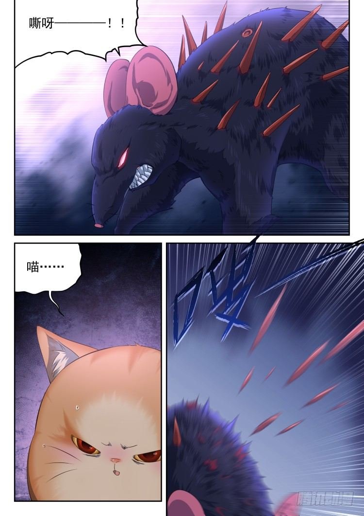 猫喜欢周秋实？
