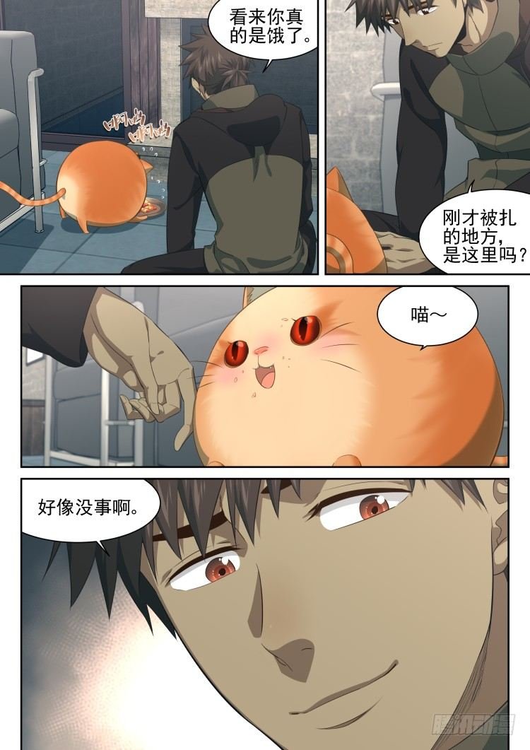 猫喜欢周秋实？
