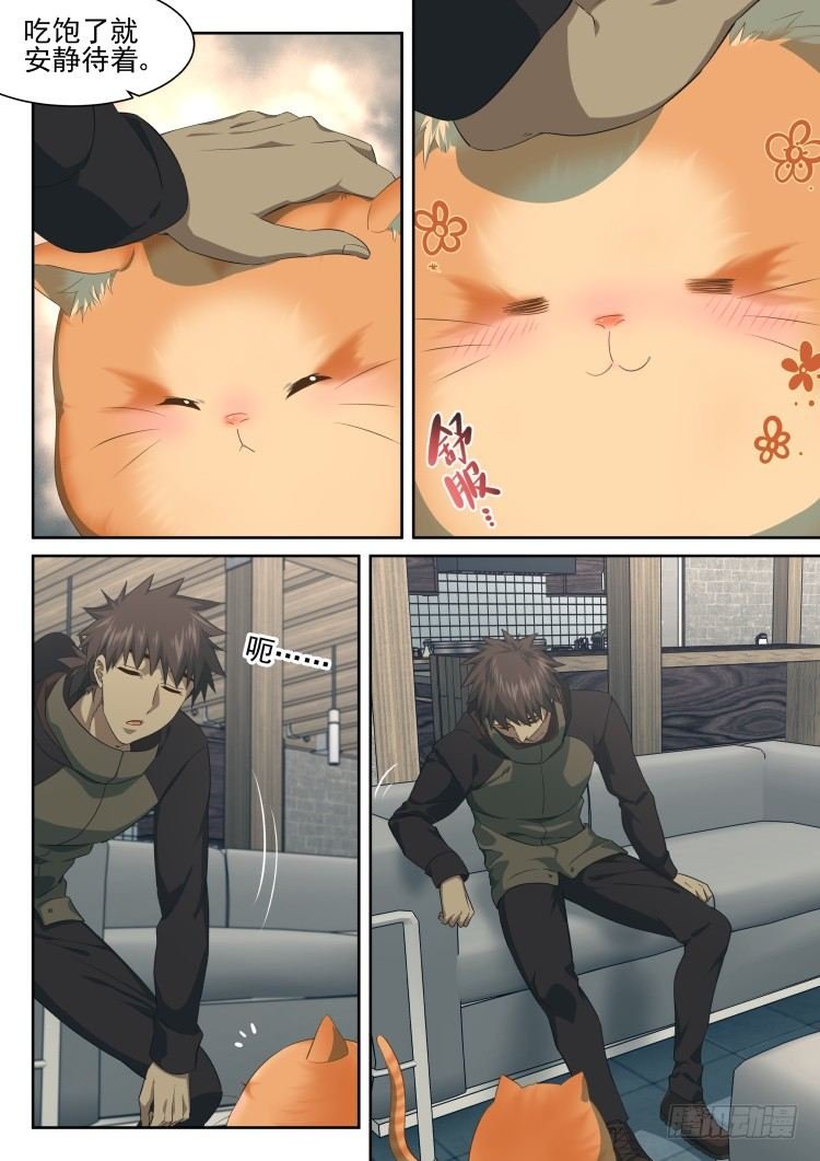 猫喜欢周秋实？