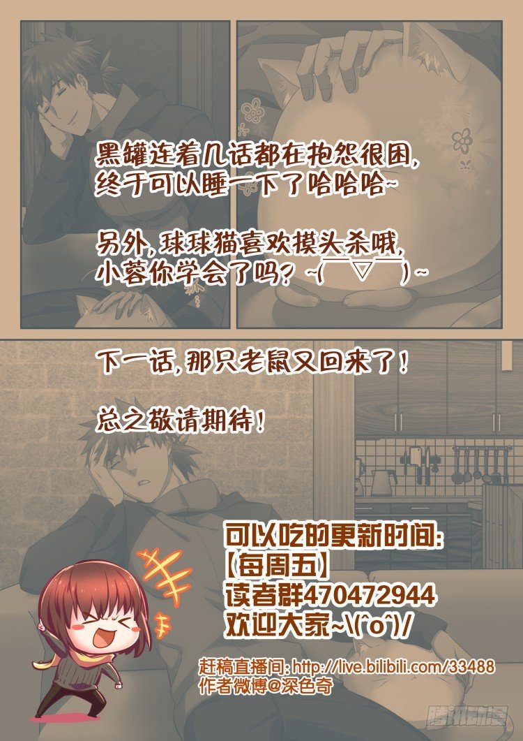 猫喜欢周秋实？