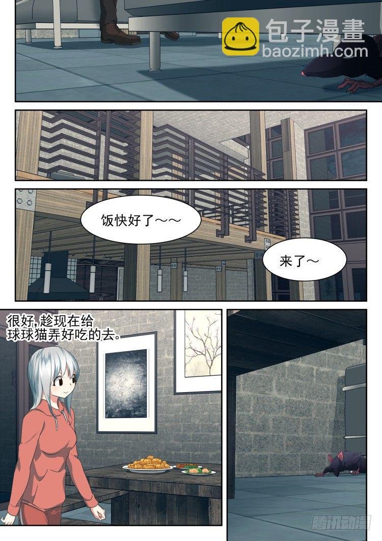 庇护所鼠患