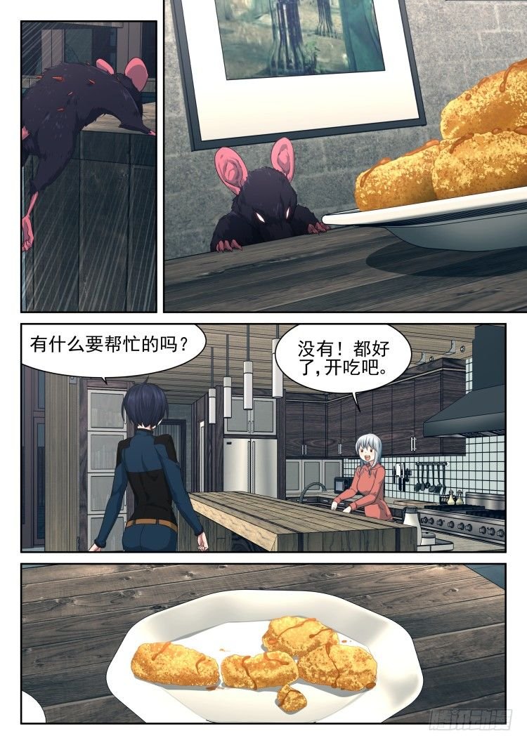 庇护所鼠患