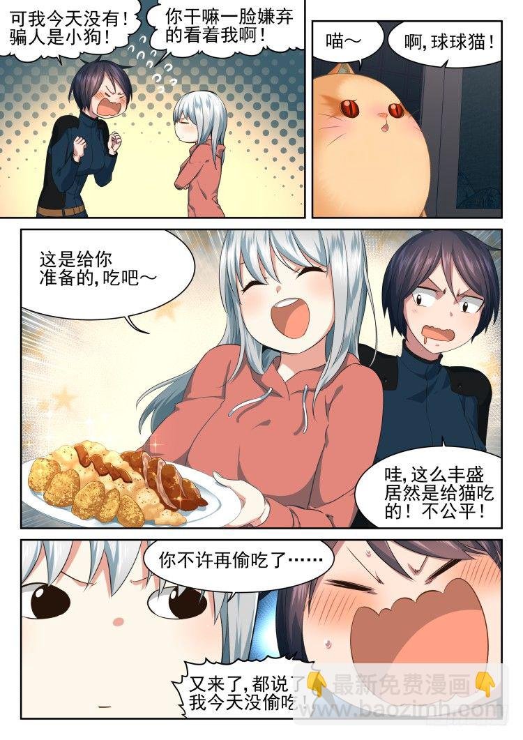 庇护所鼠患