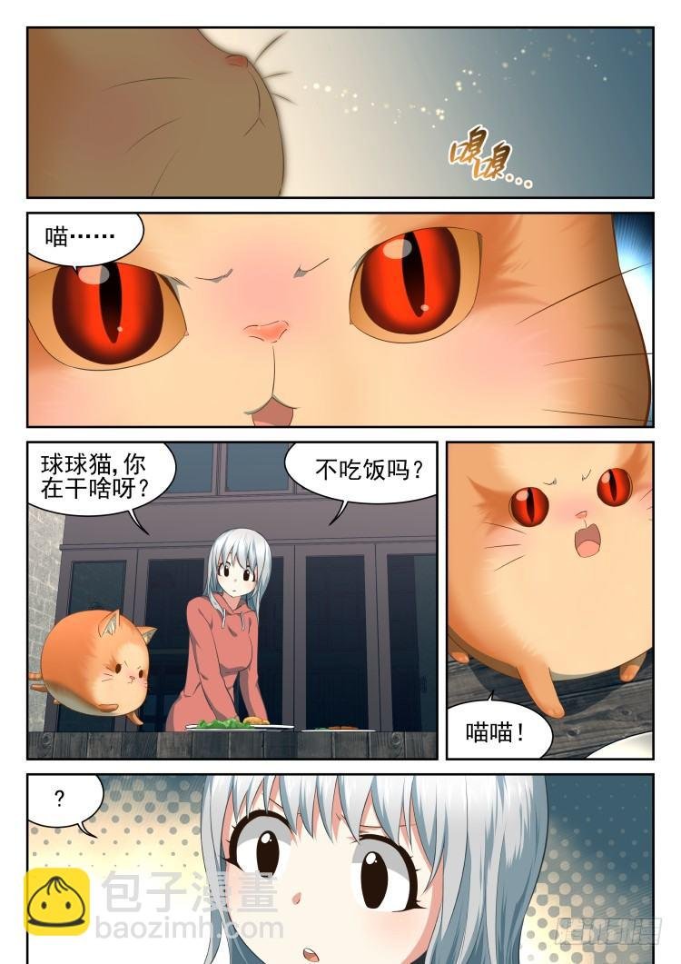 庇护所鼠患