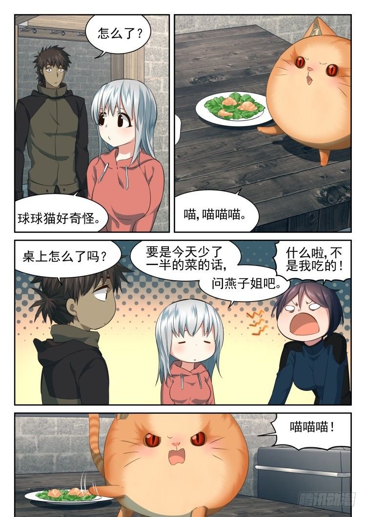 庇护所鼠患