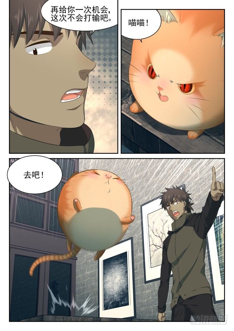 庇护所鼠患